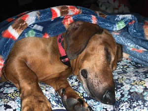 Meet your Posher, Dxwnmongral